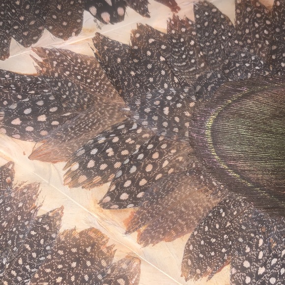 FRIDAY SALE~•= PEACOCK Feather clutch - Picture 3 of 8